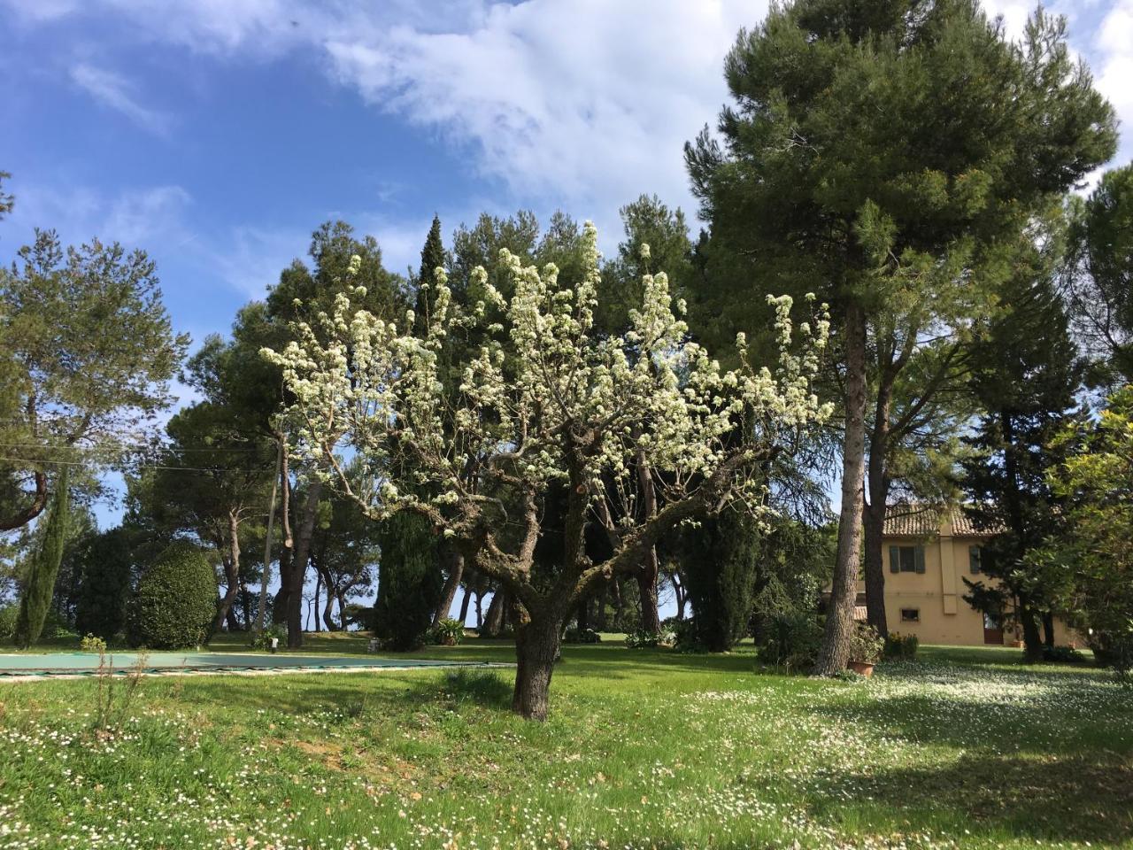 Hotel Il Colle Delle Terrazze Fano Exterior foto